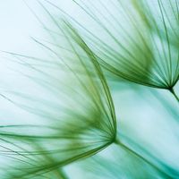 Coastal-Winds-fragrance-sq-600px