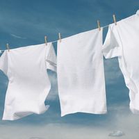 Crisp-Linen-fragrance-sq-600px