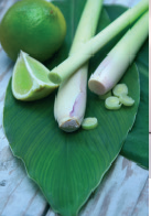 LIMON TAHI