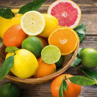 citrus-harvest-fragrance-sq-600px