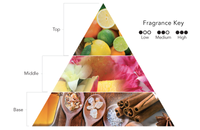 fragrance-notes-1